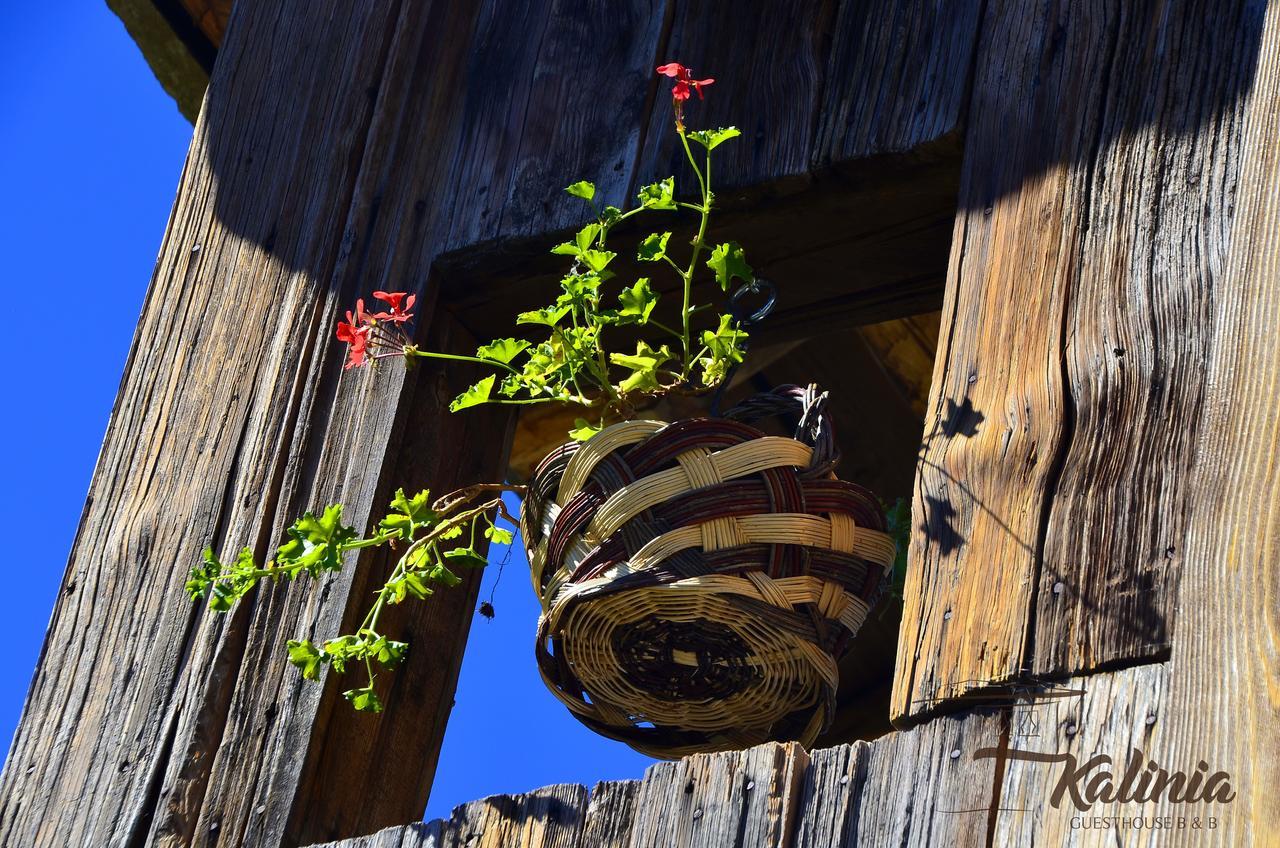 Kalinia Guesthouse B&B Kovacevica Luaran gambar